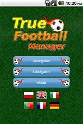 game pic for True Football Manager